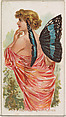 Card 49, Prepona Amphimachus, from the Butterflies series (N183) issued by Wm. S. Kimball & Co., William S. Kimball & Company, Commercial color lithograph