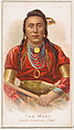 Two Moon, North American Chief, from the Savage and Semi-Barbarous Chiefs and Rulers series (N189) issued by Wm. S. Kimball & Co., William S. Kimball & Company, Commercial color lithograph