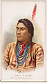 Hail Stone, North American Chief, from the Savage and Semi-Barbarous Chiefs and Rulers series (N189) issued by Wm. S. Kimball & Co., William S. Kimball & Company, Commercial color lithograph
