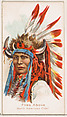 Flies Above, North American Chief, from the Savage and Semi-Barbarous Chiefs and Rulers series (N189) issued by Wm. S. Kimball & Co., William S. Kimball & Company, Commercial color lithograph