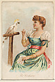 Pet Cockatoo, from the Household Pets series (N194) issued by Wm. S. Kimball & Co., William S. Kimball & Company, Commercial color lithograph