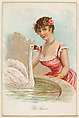 Pet Swan, from the Household Pets series (N194) issued by Wm. S. Kimball & Co., William S. Kimball & Company, Commercial color lithograph