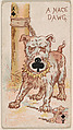 Ace of Clubs, A Nace Dawg, from Harlequin Cards, 2nd Series (N220) issued by Kinney Bros., Kinney Brothers Tobacco Company  American, Commercial color lithograph