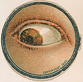 Monocle and Eye (brown), from Jocular Ocular series (N221) issued by Kinney Bros., Kinney Brothers Tobacco Company American, Commercial color lithograph