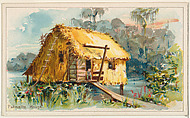 Palmetto House, from the Habitations of Man series (N113) issued by W. Duke, Sons & Co. to promote Honest Long Cut Smoking and Chewing Tobacco, The Giles Company American, Commercial color lithograph