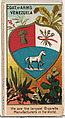 President Guzman Blanco of Venezuela, from the Rulers, Flags, and Coats of Arms series (N126-2) issued by W. Duke, Sons & Co., Issued by W. Duke, Sons & Co. (New York and Durham, N.C.), Commercial color lithograph