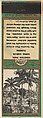 Venetian Pool, Coral Gables from Florida, Souvenir Views Match Cover series (U40.5), The Diamond Match Company American, Printed matchbook
