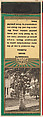Cocoanuts, Miami from Florida, Souvenir Views Match Cover series (U40.5), The Diamond Match Company American, Printed matchbook