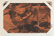 "Ranger" Defends the Ranch in His Master's Absence from Western Stars or Scenes Exhibit Cards series (W412), Exhibit Supply Company  American, Commercial color photolithograph