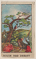 Robin Red Breast, Nursery Rhyme trade card (W500), Mayfair Novelty Co., Commercial color lithograph reproducing drawing