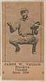 James W. Taylor, Brooklyn Catcher, Baseball photos strip cards -- Brooklyn Dodgers (W504), Universal Toy & Novelty Manufacturing Company American, Commercial photolithograph