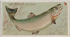 California Salmon, from the series Fishers and Fish (N74) for Duke brand cigarettes, Knapp & Company American, Commercial color lithograph