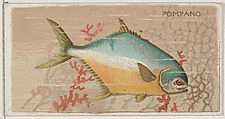 Pompano, from the series Fishers and Fish (N74) for Duke brand cigarettes, Knapp & Company American, Commercial color lithograph