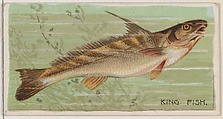 King Fish, from the series Fishers and Fish (N74) for Duke brand cigarettes, Knapp & Company American, Commercial color lithograph