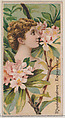 Rhododendron: Expectancy, from the series Floral Beauties and Language of Flowers (N75) for Duke brand cigarettes, American Tobacco Company, Commercial color lithograph
