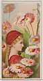 Wild English Daisy: Daintiness, from the series Floral Beauties and Language of Flowers (N75) for Duke brand cigarettes, American Tobacco Company, Commercial color lithograph