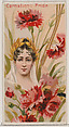 Carnation: Pride, from the series Floral Beauties and Language of Flowers (N75) for Duke brand cigarettes, American Tobacco Company, Commercial color lithograph
