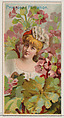 Primrose: Flirtation, from the series Floral Beauties and Language of Flowers (N75) for Duke brand cigarettes, American Tobacco Company, Commercial color lithograph
