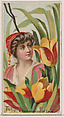 Tulip: A Declaration of Love, from the series Floral Beauties and Language of Flowers (N75) for Duke brand cigarettes, American Tobacco Company, Commercial color lithograph