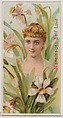 Narcissus: Self Love, from the series Floral Beauties and Language of Flowers (N75) for Duke brand cigarettes, American Tobacco Company, Commercial color lithograph