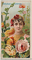 Hollyhock: Ambition, from the series Floral Beauties and Language of Flowers (N75) for Duke brand cigarettes, American Tobacco Company, Commercial color lithograph