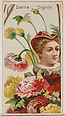 Dahlia: Dignity, from the series Floral Beauties and Language of Flowers (N75) for Duke brand cigarettes, American Tobacco Company, Commercial color lithograph