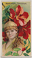 Nasturtium: Patriotism, from the series Floral Beauties and Language of Flowers (N75) for Duke brand cigarettes, American Tobacco Company, Commercial color lithograph