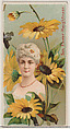 Sunflower: Haughtiness, from the series Floral Beauties and Language of Flowers (N75) for Duke brand cigarettes, American Tobacco Company, Commercial color lithograph