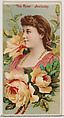 Tea Rose: Jealousy, from the series Floral Beauties and Language of Flowers (N75) for Duke brand cigarettes, American Tobacco Company, Commercial color lithograph