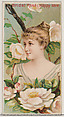 Bridal Rose: Happy Love, from the series Floral Beauties and Language of Flowers (N75) for Duke brand cigarettes, American Tobacco Company, Commercial color lithograph