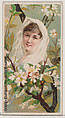 Orange Blossom: Maidenly Reserve, from the series Floral Beauties and Language of Flowers (N75) for Duke brand cigarettes, American Tobacco Company, Commercial color lithograph