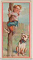 A Great Rent, from the Jokes series (N87) for Duke brand cigarettes, W. Duke, Sons & Co. American, Commercial color lithograph