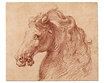Head of a Horse, Anonymous, Italian, mid-16th century, Red chalk