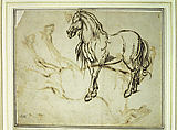 Study of a Horse (recto); Study of a Standing Horse (verso), Jacques Callot (French, Nancy 1592–1635 Nancy), Quill and reed pen and iron gall ink; minor evidence of leadpoint or graphite tracing of the standing horse visible on the recto