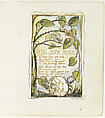 Songs of Experience: The Sick Rose, William Blake (British, London 1757–1827 London), Relief etching printed in orange-brown ink and hand-colored with watercolor and shell gold