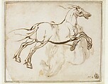 Study of a Horse (recto); Study of a Standing Horse (verso), Jacques Callot (French, Nancy 1592–1635 Nancy), Quill and reed pen and iron gall ink; minor evidence of leadpoint or graphite tracing of the standing horse visible on the recto