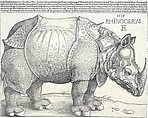 The Rhinoceros, Albrecht Dürer (German, Nuremberg 1471–1528 Nuremberg), Woodcut