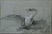 Angry Swan, Jean-Baptiste Oudry (French, Paris 1686–1755 Beauvais), Black and white chalk on blue paper