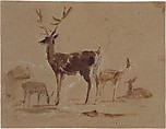 Stag and does, Sir Edwin Henry Landseer (British, London 1802–1873 London), Brush and brown wash over graphite