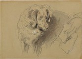 Study of a dog, Sir Edwin Henry Landseer (British, London 1802–1873 London), Black chalk heightened with white and red chalk