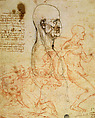 Studies for the Battle of Anghiari Cartoon and the Proportions of the Head, Leonardo da Vinci Italian, Pen and two hues of brown ink (that of lighter color later reworked with black-brown ink), over traces of preliminary stylus work, soft black chalk, red chalk (recto); ren and two hues of brown ink (that of lighter color later reworkedwith black-brown ink), over soft black chalk, with densely pinpricked holes close to the figure's profile
