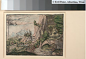 The Small Spruce, Albrecht Altdorfer (German, Regensburg ca. 1480–1538 Regensburg), Etching with watercolor