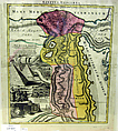 Aegyptus Hodierna, Map of Egypt, Johann Baptist Homann German, Etching and engraving, hand-colored on laid paper