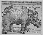 The Rhinoceros, Albrecht Dürer (German, Nuremberg 1471–1528 Nuremberg), Woodcut