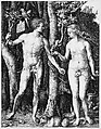 Adam and Eve, Albrecht Dürer (German, Nuremberg 1471–1528 Nuremberg), Engraving