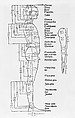 Underweysung der Messung (Nuremberg, 1538), Albrecht Dürer (German, Nuremberg 1471–1528 Nuremberg), Woodcuts