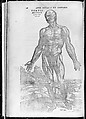 De humani corporis fabrica (Of the Structure of the Human Body), Andreas Vesalius (Flemish, Brussels 1514–1564 Zakynthos, Greece), Woodcut