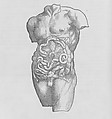 De humani corporis fabrica (Of the Structure of the Human Body), Andreas Vesalius (Flemish, Brussels 1514–1564 Zakynthos, Greece), Woodcut