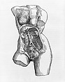 De humani corporis fabrica (Of the Structure of the Human Body), Andreas Vesalius (Flemish, Brussels 1514–1564 Zakynthos, Greece), Woodcut