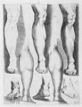 Five Legs and Three Feet, Luca Ciamberlano  Italian, Engraving